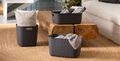 Softex (1)