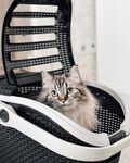 Pet Life reismand